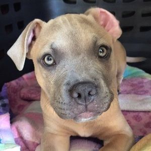 Meet your Posher, Marissa